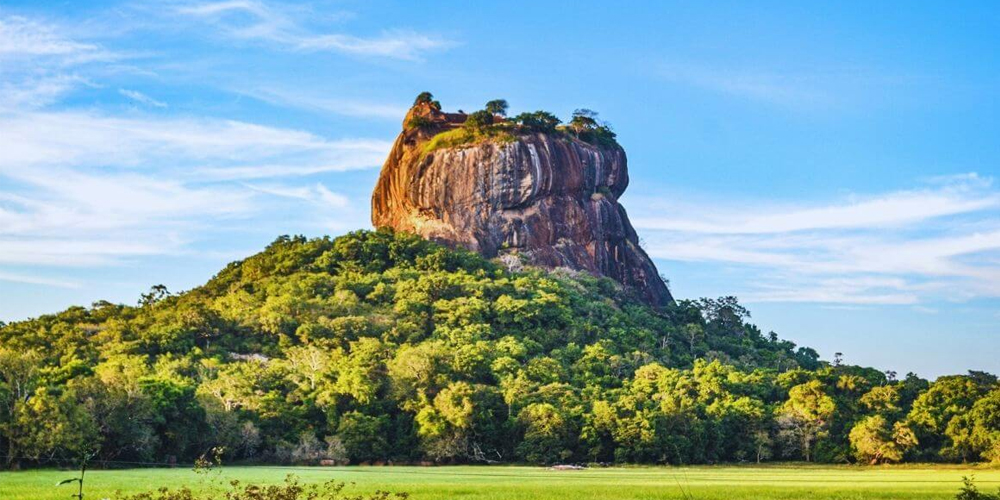 7-Day Cultural Triangle & Hill Country Adventure